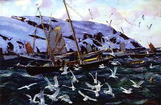 Gulls at Monhegan