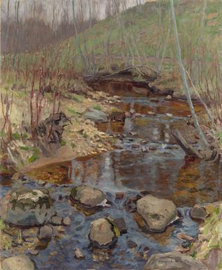Forest Stream