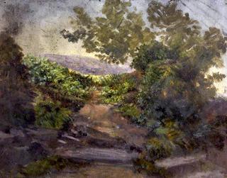 Landscape with Bushes and Trees