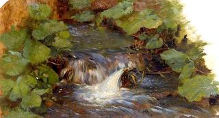 Leaves and a Waterfall