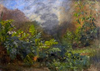 Waterside Vegetation