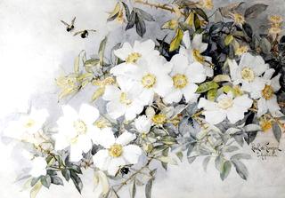 White Roses and Bees
