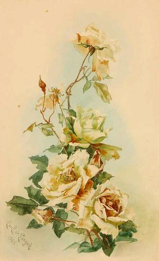 Yellow Roses