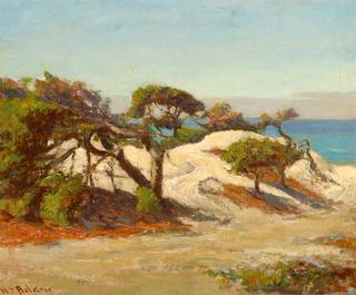 Monterey coast