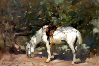 The White Pony