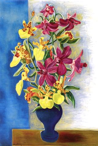 Orchids