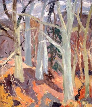 Woods at Arniston, Midlothian