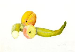 Still Life with Two Peaches