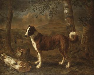Dog and a Birch Log