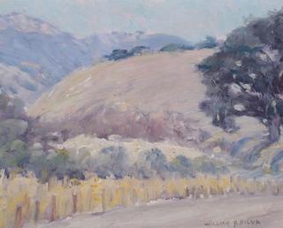 Spring Flowers, Carmel Valley