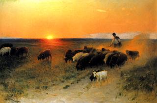 Sunset