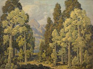 Trees