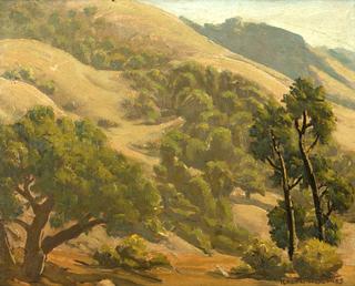 Rolling hill landscape