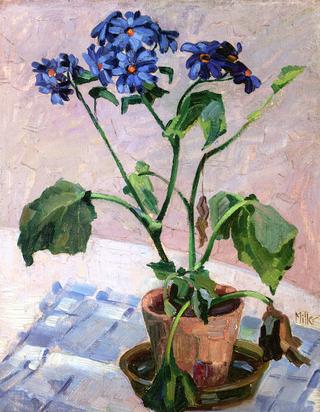 Tabletop with Daisies