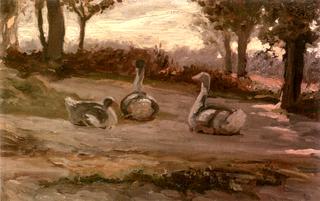Geese