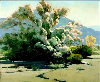 Desert Lavender