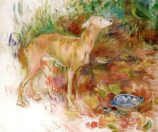 The Greyhound Laërte