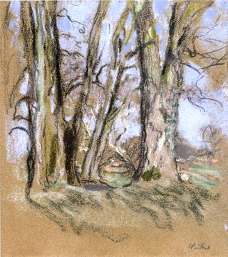 The Park at Clayes