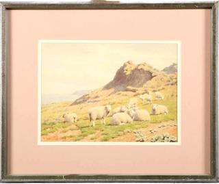 Sheep on the Coast