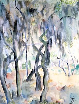 Willows