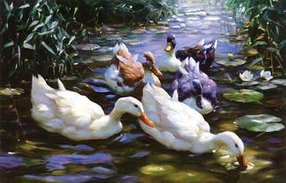 Five Ducks