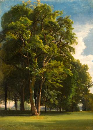Landscape with Trees