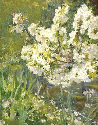 Springtime