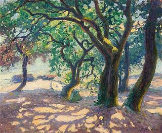 The Black Oaks
