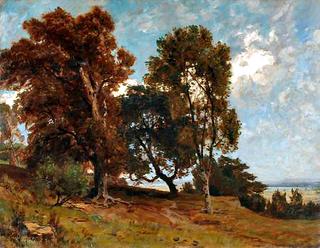 Trees at a Riverside