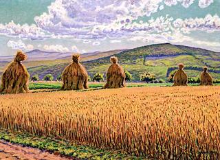 Harvest Landscape