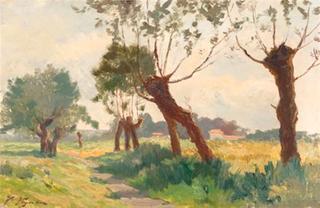 Pollard Trees, Summer