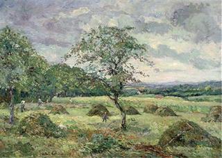 Hay in the Field