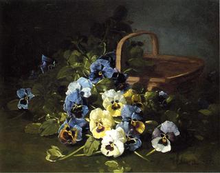 Pansies