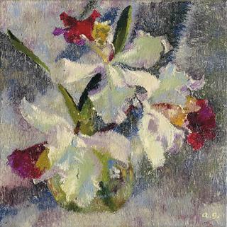Orchids
