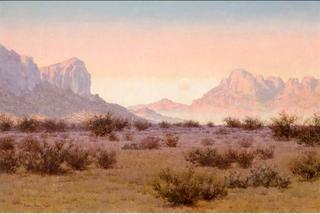 Moonrise on the Desert