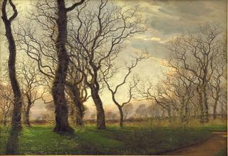 The edge of an oak forest on an early spring morning