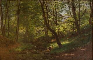 May Day in Beech Forest