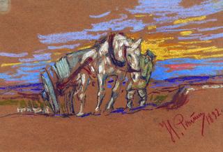 A Horse