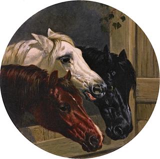 Farmyard Friends