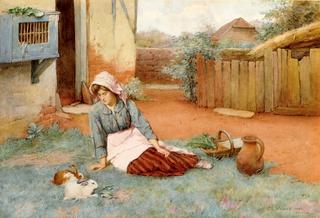 Pet Rabbits