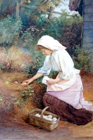 The Egg Collector