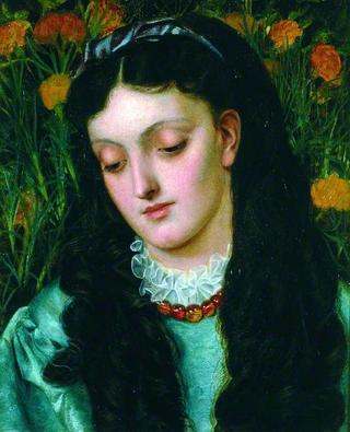 La belle jaune giroflée