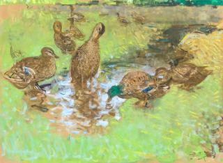 The Ducks