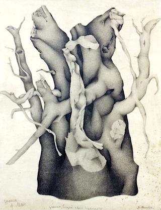 Roots - Study