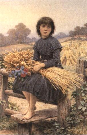 The Gleaner
