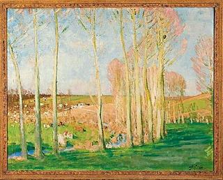 Poplars