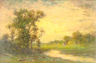 A Forest Stream