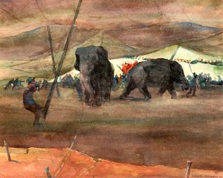 Elephants under the Big Top