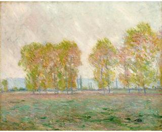 The Poplars