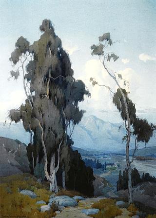 View into the Valley